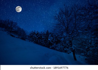 満月の夜に雪に覆われた森を通る山道。月と星と暗い青空の風光明媚な夜の冬の風景。アゼルバイジャン