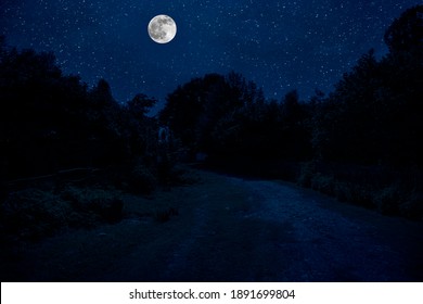 Mystiek landschap van volle maan Rising over hoge groene weide met bomen in Forest; Horizon silhouet