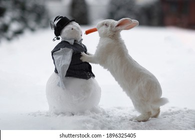 Het konijn staat in de winter op zijn achterpoten in de witte sneeuw en eet een wortel. Sneeuwpop in kleren op straat. Een dierlijk wit konijn staat naast een sneeuwpop.