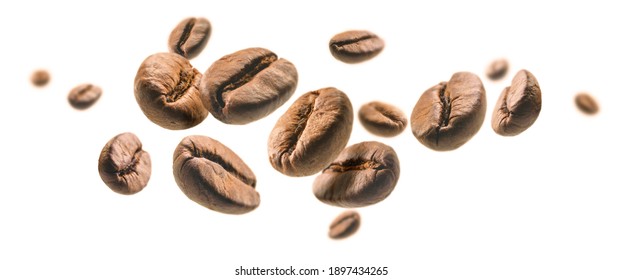 Los granos de café levitan sobre un fondo blanco.