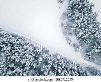 Vista desde el dron sobre abetos cubiertos de nieve, el camión en el campo forestal. Hermoso paisaje de nieve de invierno