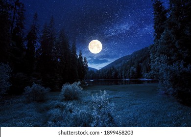 Bergseelandschaft im Sommer bei Nacht. schöne landschaft des synevyr-nationalparks. Gewässer im Wald im Vollmondlicht. Tolle Aussicht und erstaunliche Attraktion der Karpatennatur
