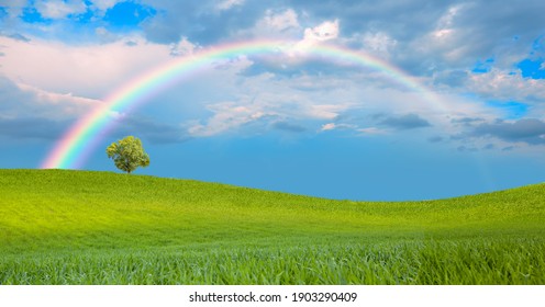 Prachtig landschap met groen grasveld en eenzame boom op de achtergrond geweldige regenboog