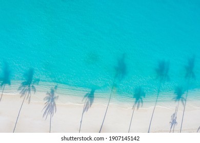 Những cây cọ đổ bóng trên bãi cát và đại dương xanh như ngọc nhìn từ trên cao. Cảnh quan thiên nhiên mùa hè tuyệt vời. Phong cảnh bãi biển đầy nắng tuyệt đẹp, mẫu kỳ nghỉ bãi biển yên bình và đầy cảm hứng thư giãn