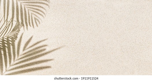 砂の上のヤシの葉の影のバナー、トップビュー、コピースペース