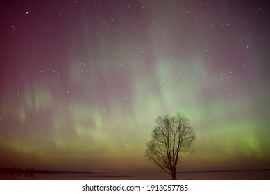intensive Nordlichter Aurora Borealis über Strand in Lettland