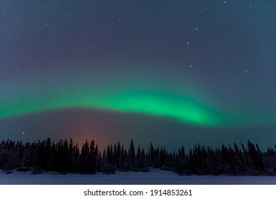 Een geweldige show van noorderlicht gezien in de winter met besneeuwde bomen onder de banden van aurora borealis hierboven in wildernisscène op een bevroren meer.
