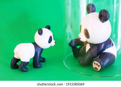 Hračka Malá Panda mimo okenného skla, Hračka Veľká Panda vo vnútri okenného skla, Koncept izolácie a karantény