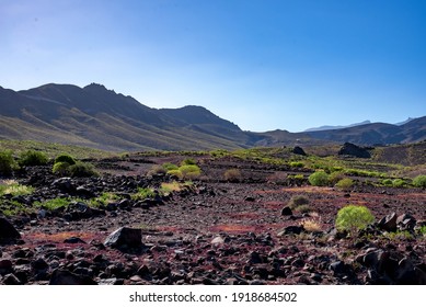 Wunderschöne Landschaft der Felder der Kanarischen Inseln mit dem Sonnenuntergang und der tiefen Sonne, die in der Zeit nach dem Regen mit Bentayga wunderschöne Reflexionen und Schatten erzeugt