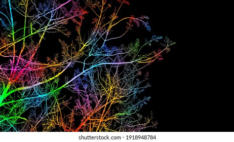Kleurrijke takken tegen zwarte hemelachtergrond. Kleurrijke bladeren achtergrond. Kleurrijke boom achtergrond. Abstracte aard.