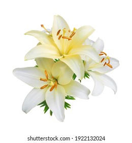 Weiße Lilienblumen lokalisiert auf weißem Hintergrund