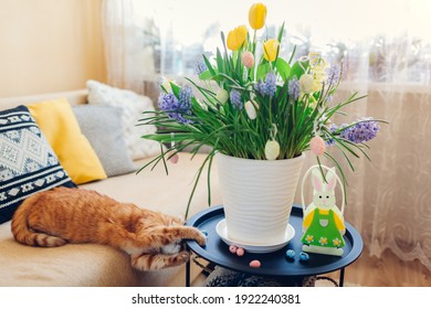 Osterdekoration. Katze spielt mit Eiern durch Frühlingsblumen, die zu Hause im Topf blühen. Haustier hat Spaß auf der Couch. Urlaubsinterieur