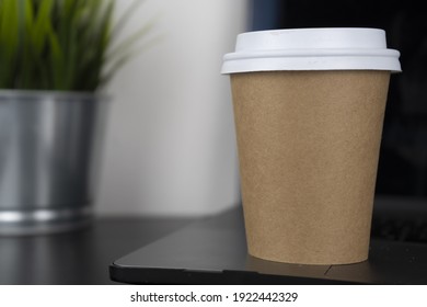A take-away paper cup rests atop a computer and an acanthus office plant. This photo is suitable for use as a mockup to put your logo or design