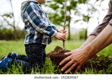 家系図を植える。庭に若い木を植える祖父と小さな男の子の手。環境意識。春のコンセプト、自然とケアを保存します。