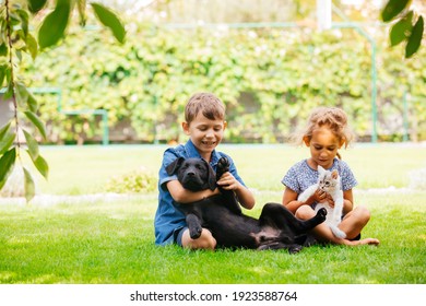 Un frère et une sœur attentionnés embrassent un chaton et un chiot sur une pelouse verte. Une petite fille mignonne tenant un chaton blanc, un écolier souriant embrassant un chiot noir. Concept de relation étroite