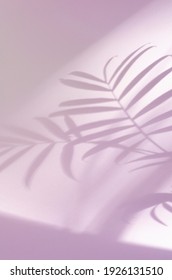 Botanical pink vertical background with shadow of palm leaves. Ecology, nature, purity and authenticity concept. Sunlight from the window