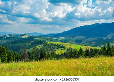 el claro está cubierto de hierba y flores en la cima de las montañas con cielo azul y nubes. Fondo de la cordillera.