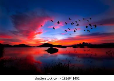 zwerm vogels vliegen op de achtergrond avond landschap boven het meer in thailand.