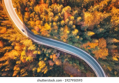 Luchtfoto van bergweg in prachtig bos bij zonsondergang in de herfst. Bovenaanzicht van gedreun van kronkelende weg in bos. Kleurrijk landschap met gebogen rijbaan, bomen met oranje bladeren in de herfst. Reis