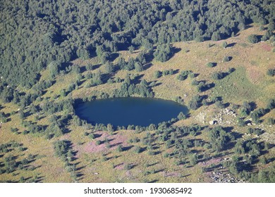 孤独な楕円形の山の湖。夕暮れ時の青い森の湖。