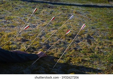 The archer collects stuck arrows at the bow for another series of shots attacks from a yew traditional bow used in the Middle Ages battles at Agincourt. meadow and wooden bow carved one piece