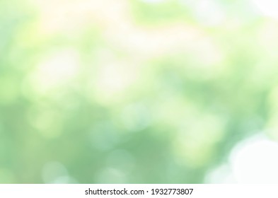 Parlak yeşil bokeh doğa arka planı