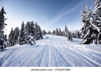 Alpine Gebirgslandschaft mit weißem Schnee und blauem Himmel. Sonnenuntergangwinter in der Natur. Frostige Bäume unter warmem Sonnenlicht. Wunderbare Winterlandschaft