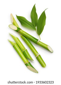 Groene bamboe met bladeren geïsoleerd op een witte achtergrond