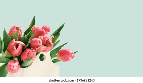Bündel rote Tulpen im weißen Kasten auf Grün. Seitenansicht Kopierraum, Geburtstagsgeschenk. Valentinstag 8. März Frauen- oder Muttertag-Feier-Grußkarte oder Border-Web-Blumenbanner. Frühling