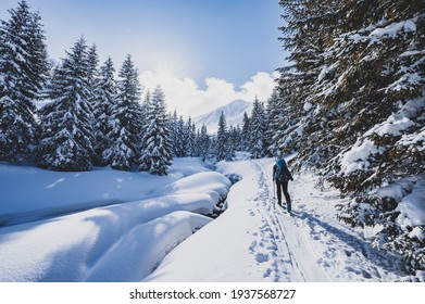 Montañero de esquí de travesía caminando alpinista de esquí en las montañas. Esquí de travesía en paisaje alpino con árboles nevados. Deporte de aventura de invierno.