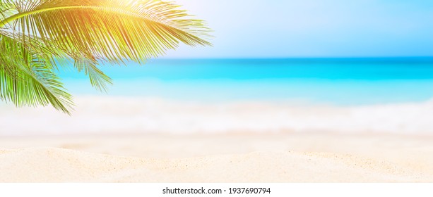 白いビーチにぼやけた青い空とココヤシの木の葉のパノラマ。熱帯の夏の風景。夏のビーチでの休暇のコンセプトです。