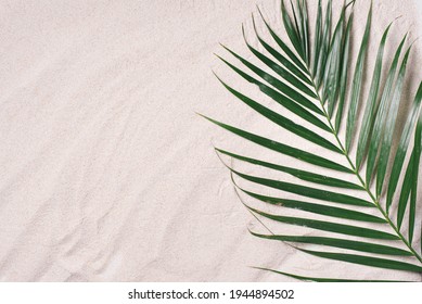 砂の背景に緑の熱帯の葉の平面図です。フラットレイ。ヤシの木の葉を使った最小限の夏のコンセプト。