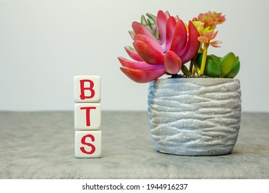 Cubos suaves con la abreviatura BTS con una flor en un fondo blanco