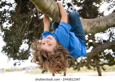 Kids climbing trees, hanging upside down on a tree in a park. Child protection