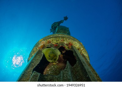 een morele paling heeft een thuis gemaakt in de basis van een bronzen onderwaterbeeld