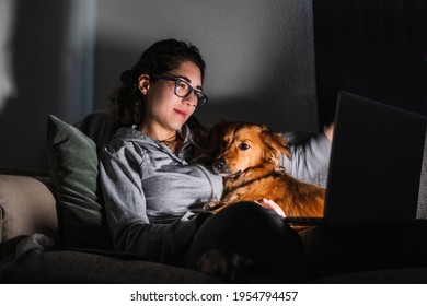 Young woman watching a movie with her dog on her computer at night. At home concept. Animal love.