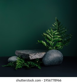 Luxuriöses leeres Produkt Marmorsteinpodium und waldgrüne Blätter auf dunklem Hintergrund. Konzeptszenenbühne für Promotion, Verkauf, Präsentation oder Kosmetik. Schwarze minimale Mock-up-Vorlage.