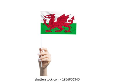 Mooie vrouwelijke hand met de vlag van Wales, geïsoleerd op een witte achtergrond.