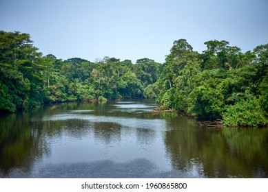 River in the tropical rainforest of central Africa