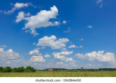 Prado con hierba verde y cielo azul con nubes