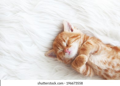 Schattige kleine rode kitten slaapt op bont witte deken