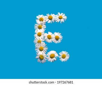 E capital letter in daisy flowers on blue background