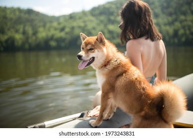 休暇中にサングラスをかけた若い女の子が、赤い髪の犬の柴犬と一緒に、フレームに背を向けてボートに乗って水上に座っています。彼女の犬と一緒にホステスはボートで泳ぎ、夏に休みます。