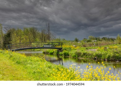 Rain clouds above colorful and flowery landscape with flowering rapeseed and cow parsley in front of a pedestrian bridge near the new nature reserve IJsvogel in the municipality of Alphen aan den Rijn