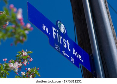 平均 りんごの花が咲き、澄んだ青い空が後ろにある街灯柱の最初のアベニューの道路標識。カナダ、オンタリオ州オタワ。