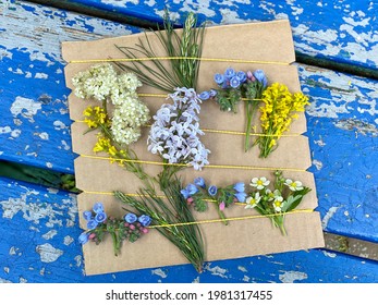 tái chế tranh hoa tự nhiên và bìa cứng, đồ thủ công cho trẻ em, đồ trang trí cho trẻ em chơi ngoài trời