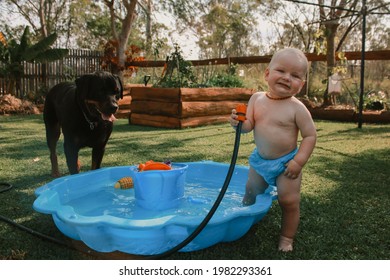 Hermoso bebé caucásico jugando en la piscina infantil del patio trasero azul con perro rottweiler mascota