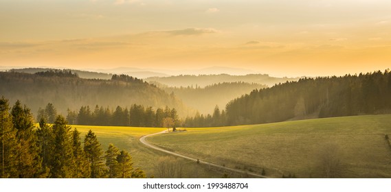 ドイツ、シュワルツヴァルトの森のパノラマビューの美しい道と、暖かい夕日の日差しの中で自然の風景の山々