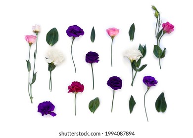 白地に紫、白、ピンクの花トルコギキョウ (テキサス ブルーベル、ブルーベル、トルコギキョウ、プレーリー リンドウ)。トップビュー、フラットレイ