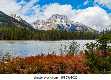 vibrant autumn foliage and snow capped mountains surround Jenny lake during fall season.	